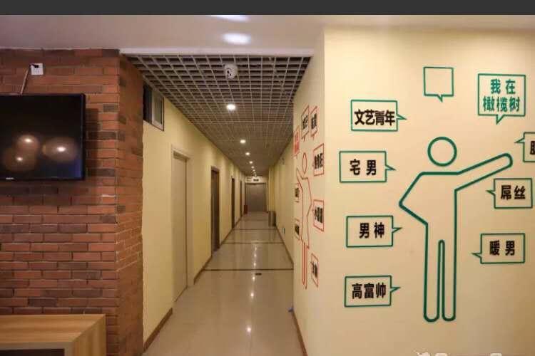 The Olive Tree Capsule Hostel Shenzhen Extérieur photo