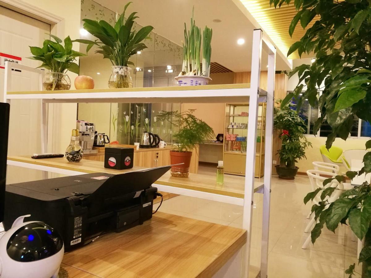 The Olive Tree Capsule Hostel Shenzhen Extérieur photo